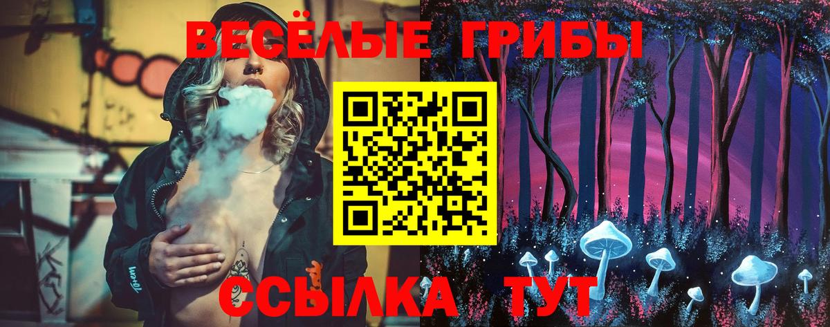 Саранск  Галлюциногенные грибы мухоморы  что такое наркотик  Вход с VPN 